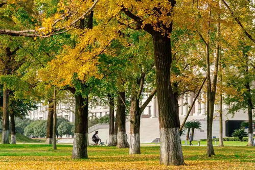 電子科技大學(xué)怎么樣 好不好 多少分能上