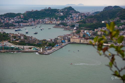 臺州的?！涟雿u